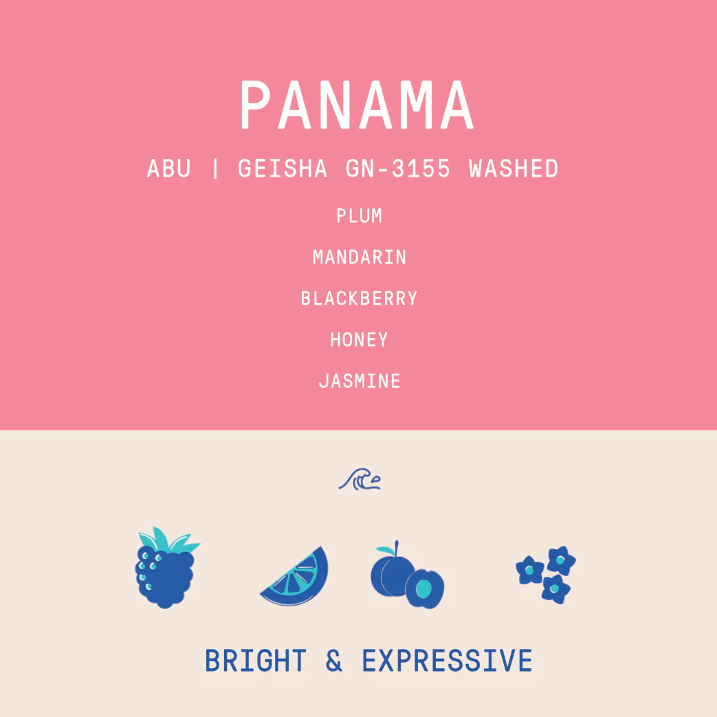 Panama - Abu Geisha GW-3155 | Washed - 100g - Image 2