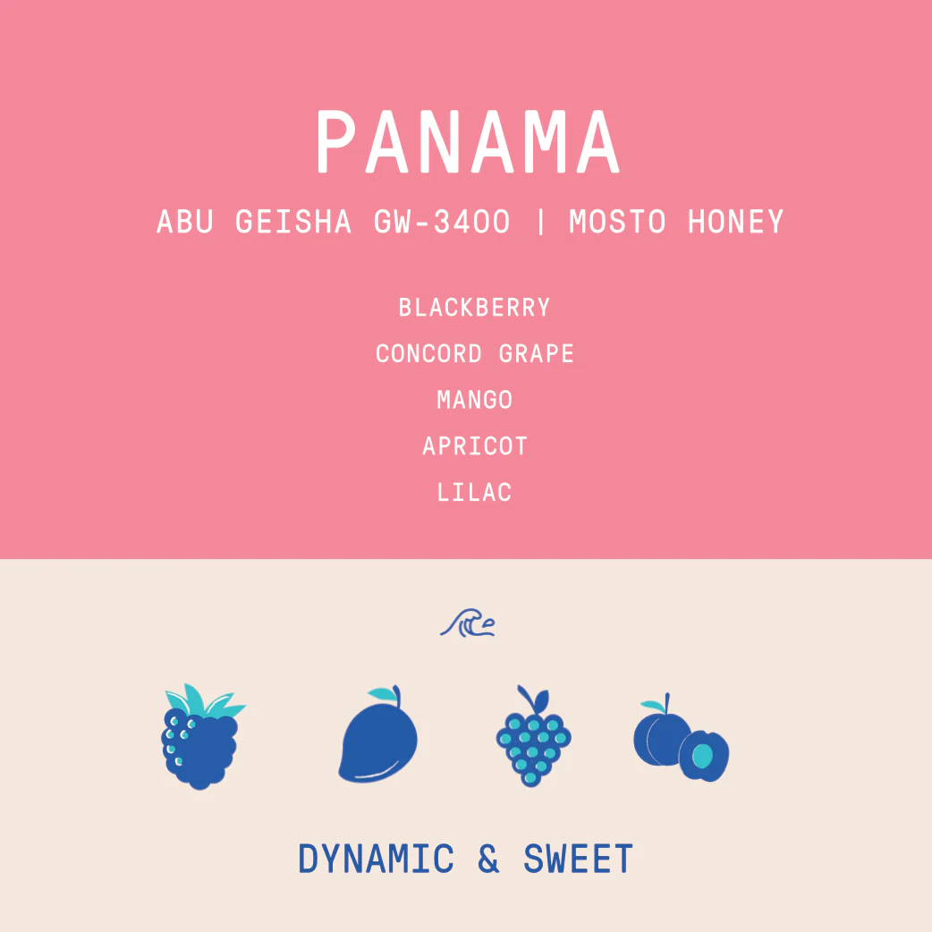 Panama - Abu Geisha GW-3400 | Double Phase + Mosto Honey - Archived - Image 2