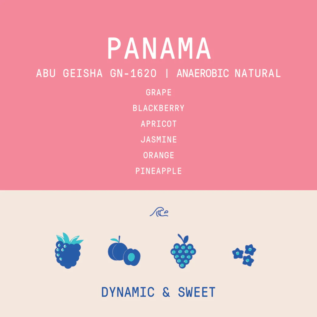 Panama - Abu Gesha GN-1620 | Submerged Anaerobic Natural - 100g - Archived - Image 2