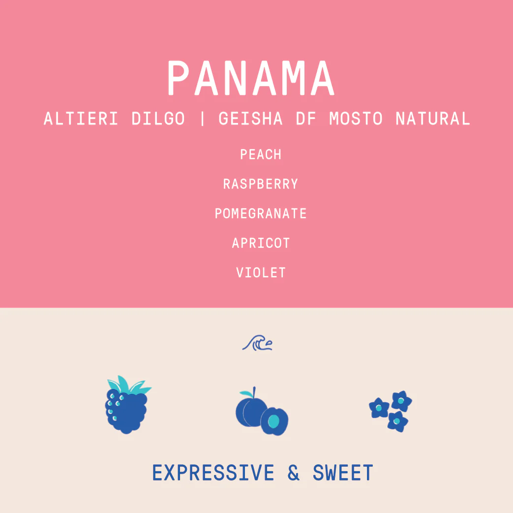 Panama - Altieri Dilgo Geisha | Dry Fermentation Mosto Natural - 100g - Archived - Image 2