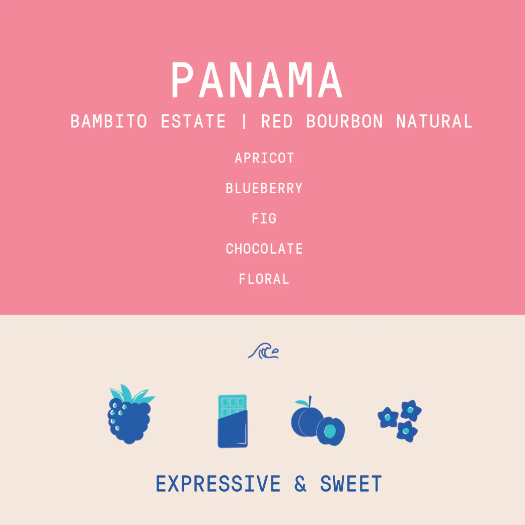 Panama - Bambito Estate Red Bourbon | Natural - Archived - Image 2