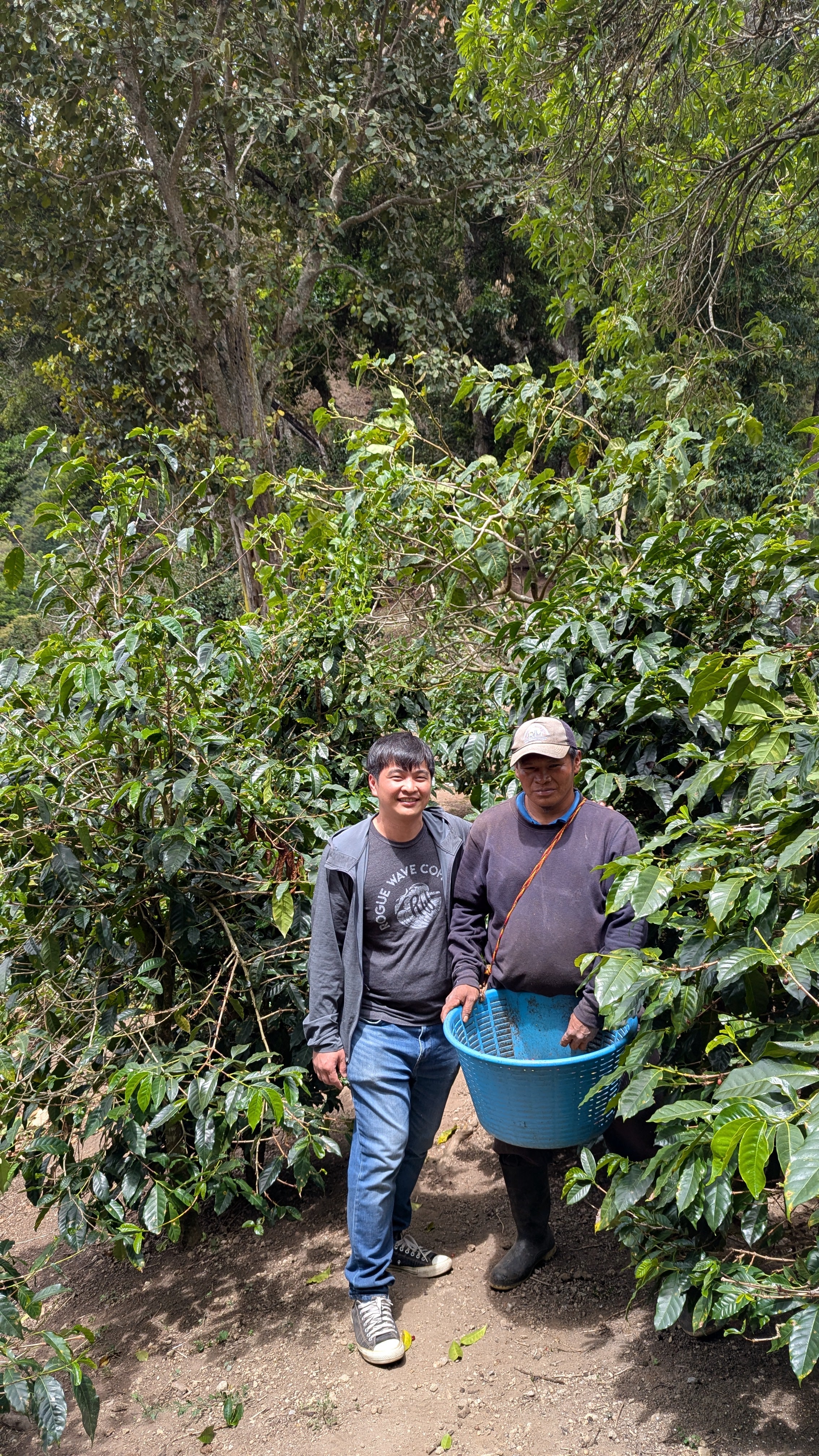Panama - Bambito Estate Red Bourbon | Natural - Archived - Image 6