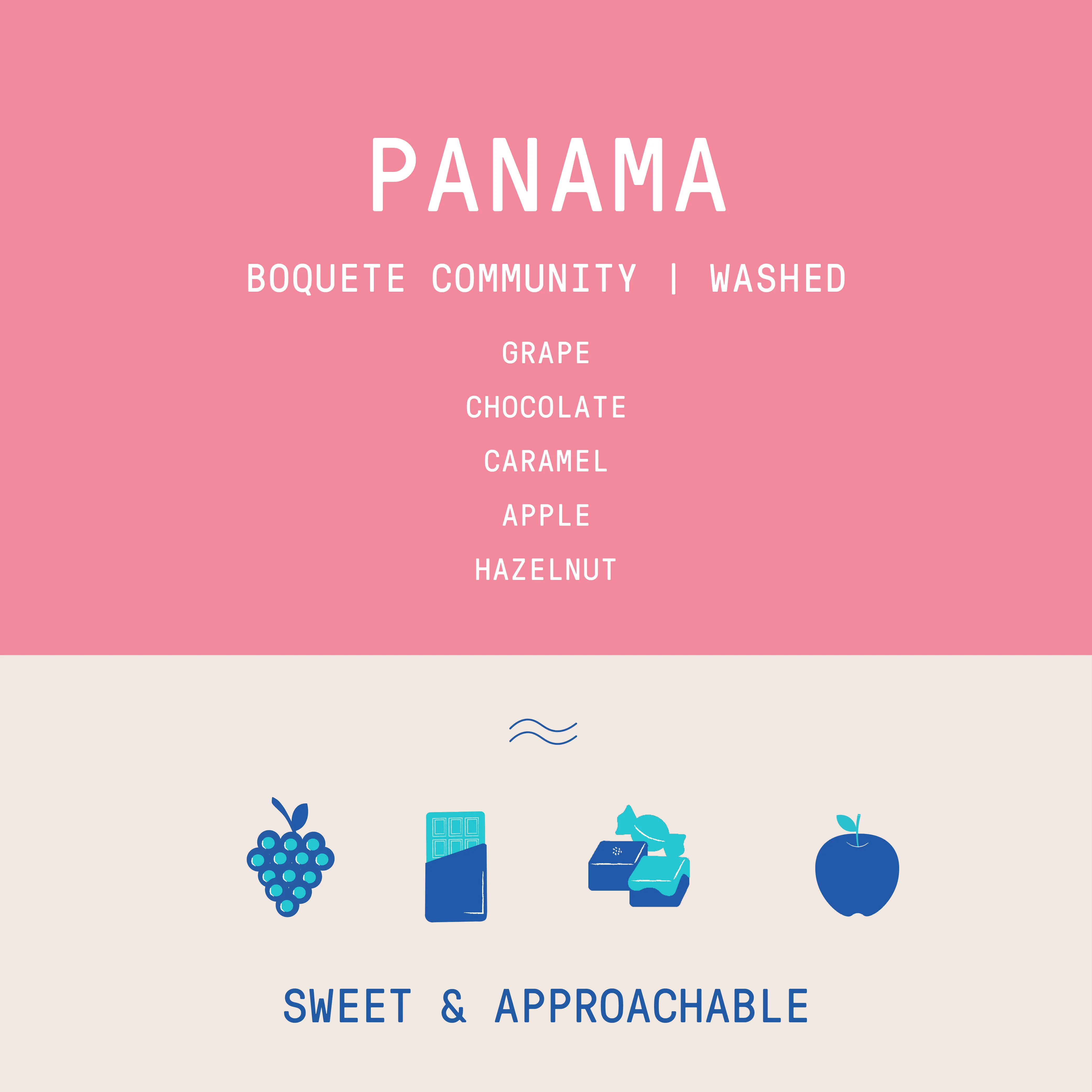 Panama - Boquete | Washed - Archived - Image 2