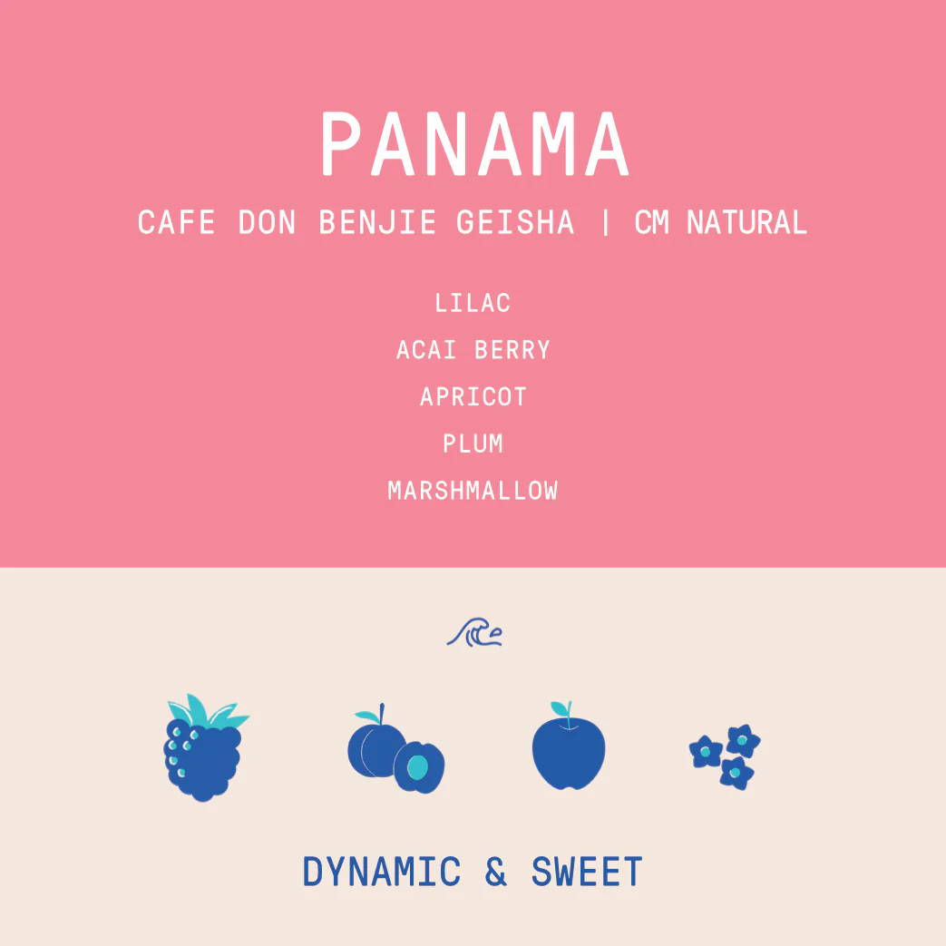 Panama - Cafe Don Benjie Geisha | CM Natural Lot 7 - 100g - Archived - Image 2