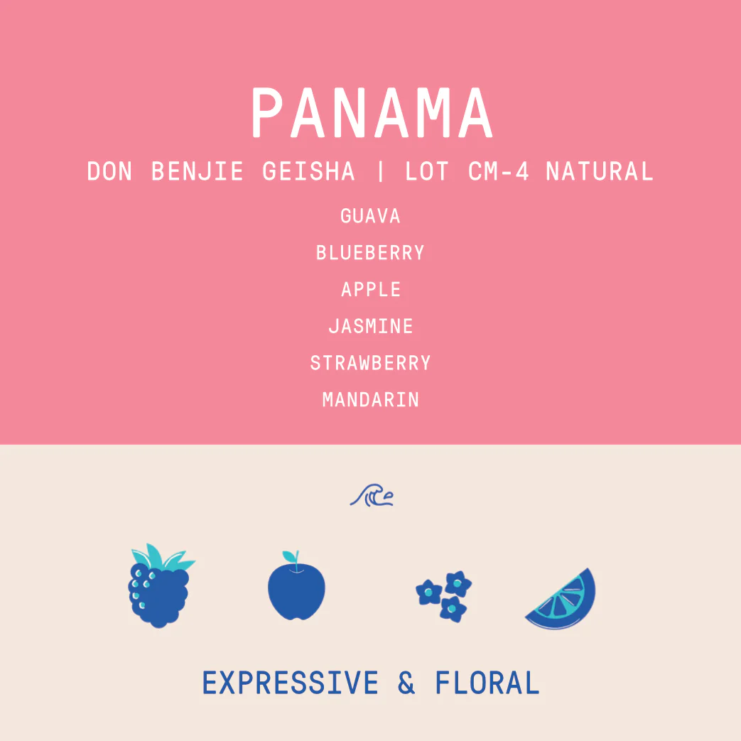 Panama - Cafe Don Benjie Geisha | CM Natural Lot 4 - 100g - Archived - Image 2