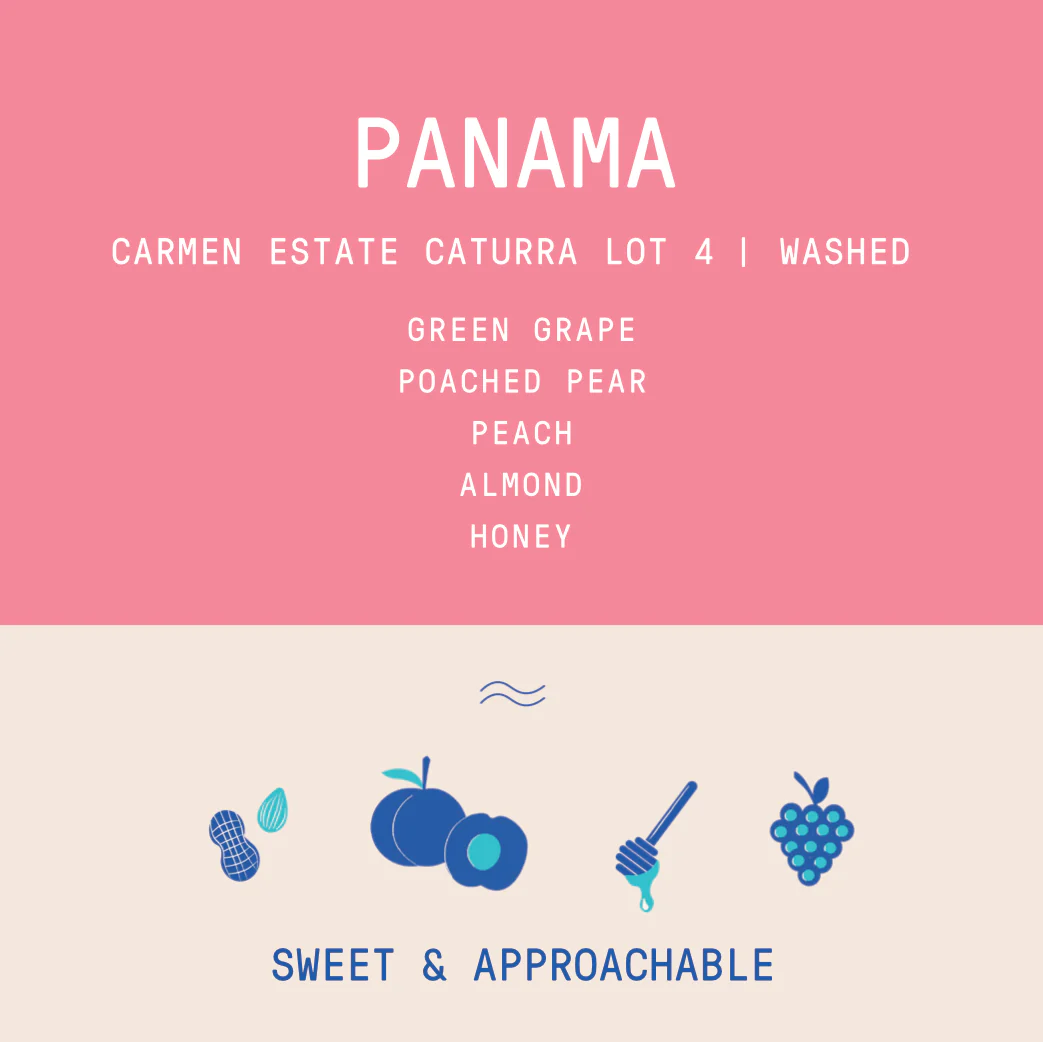 Panama - Carmen Estate Caturra Lot 4 | Washed - Archived - Image 2