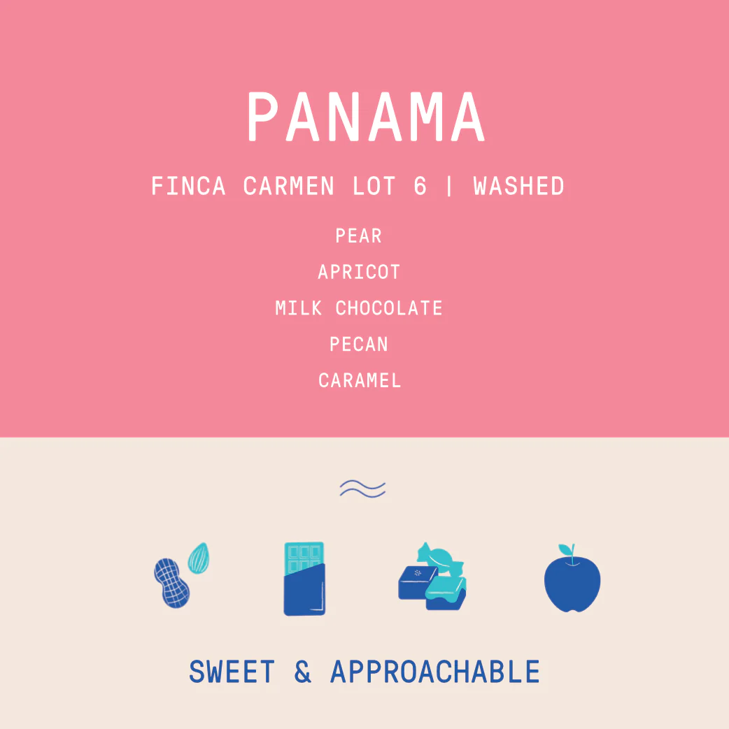Panama - Carmen Estate Caturra Lot 6 | Washed - Image 2
