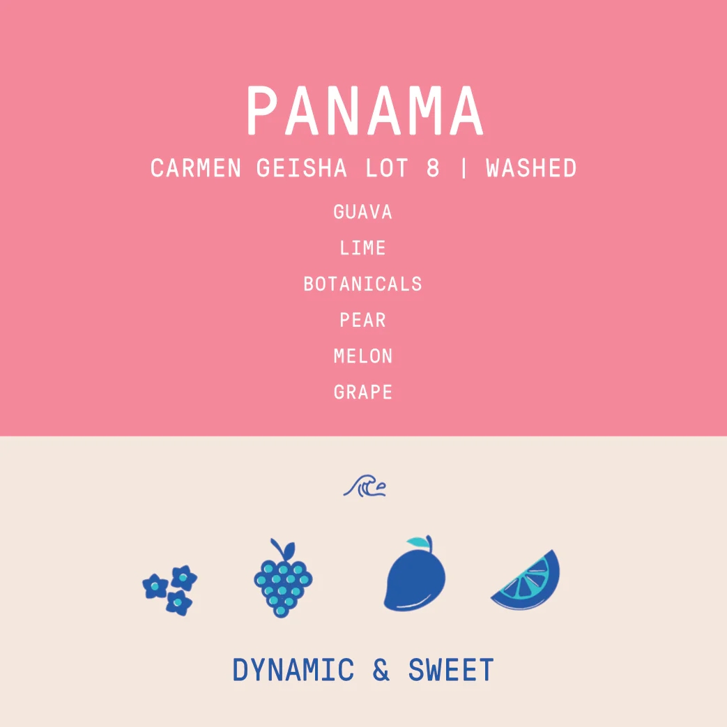 Panama - Carmen Estate Geisha Lot 8 | Washed - 100g -Archived - Image 2