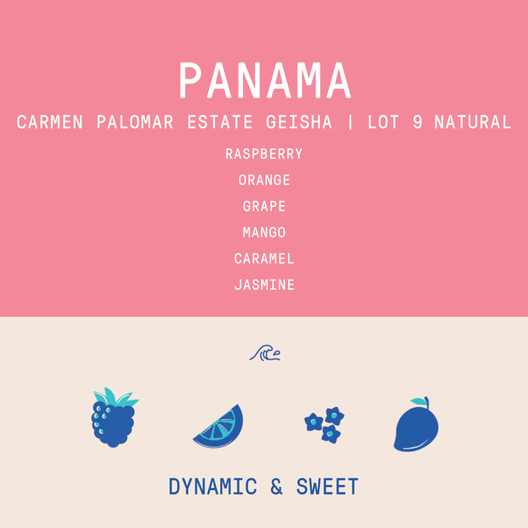Panama - Carmen Palomar Estate Geisha Lot 9 | Natural - 100g - Archived - Image 2