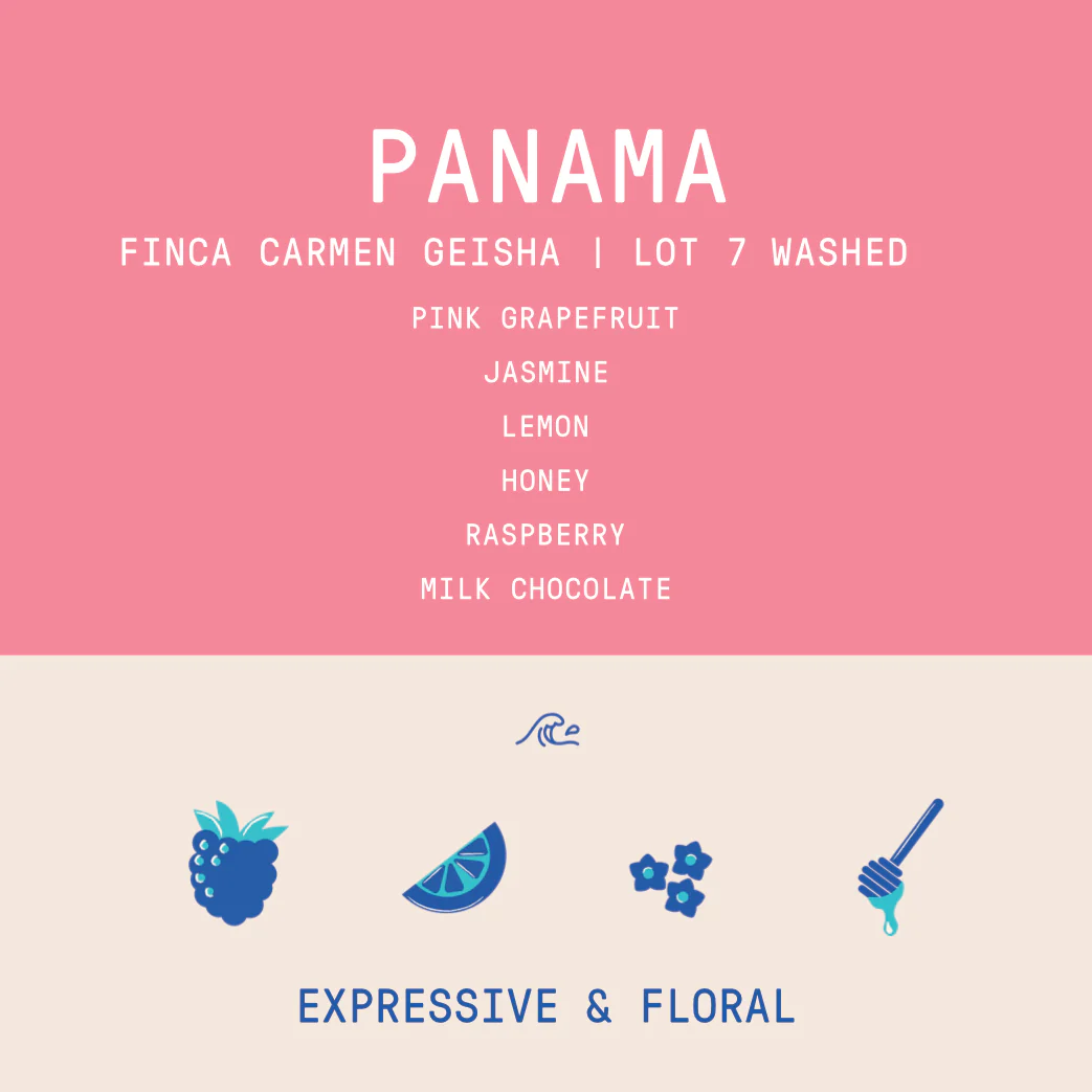 Panama - Carmen Estate Geisha Lot 7 | Washed - 100g - Archived - Image 2