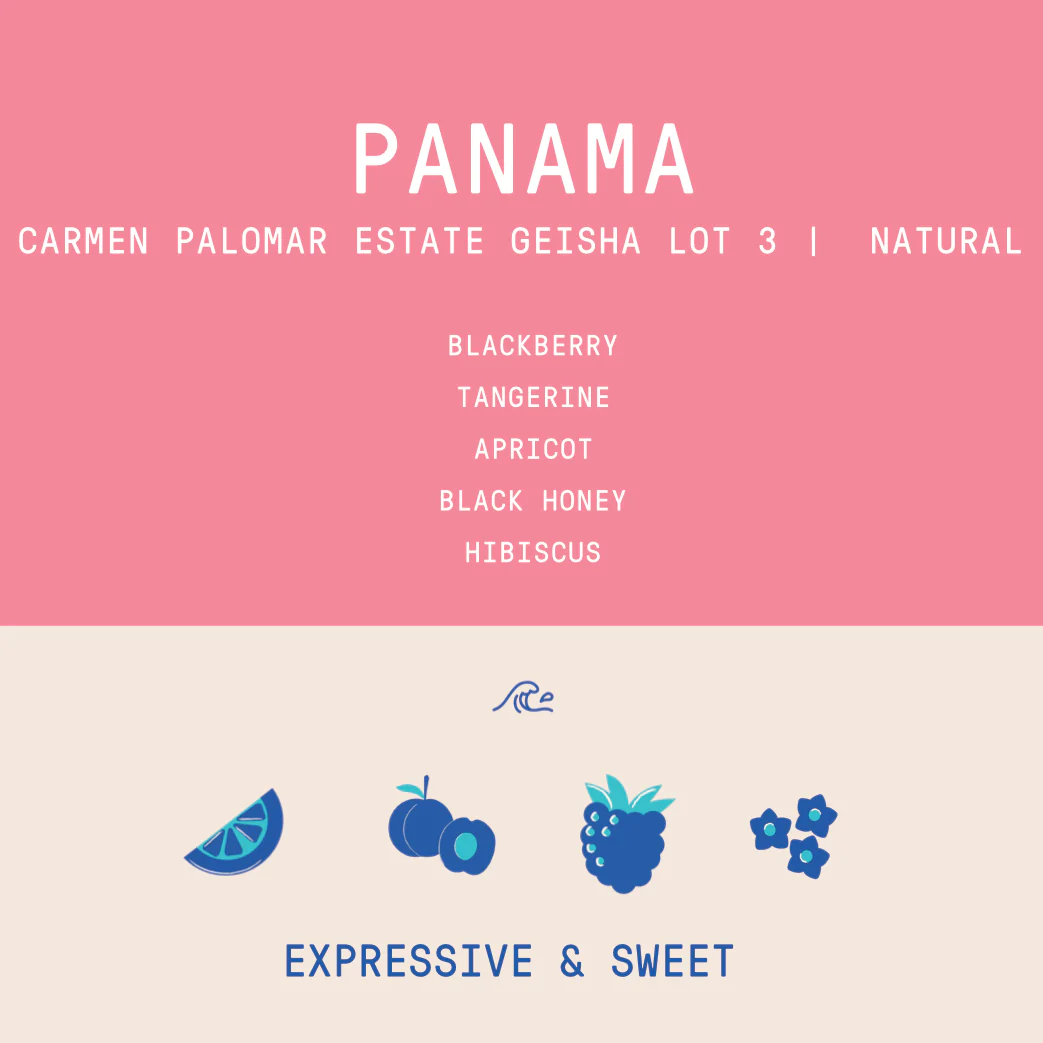 Panama - Carmen Estate Palomar Geisha Lot 3 | Natural - 100g - Archived - Image 2