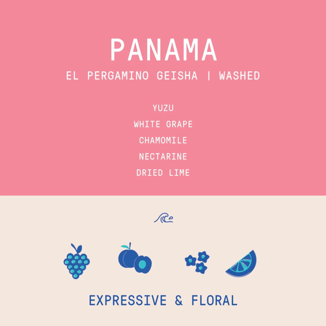 Panama - El Pergamino Geisha | Washed - 100g - Archived - Image 2