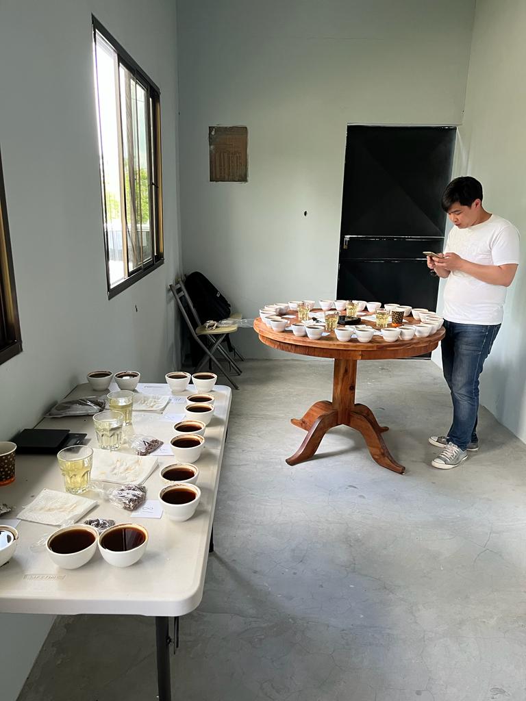 Panama - Finca Bernardina Geisha Lot 21/12/23 | Natural - 100g - Archived - Image 4