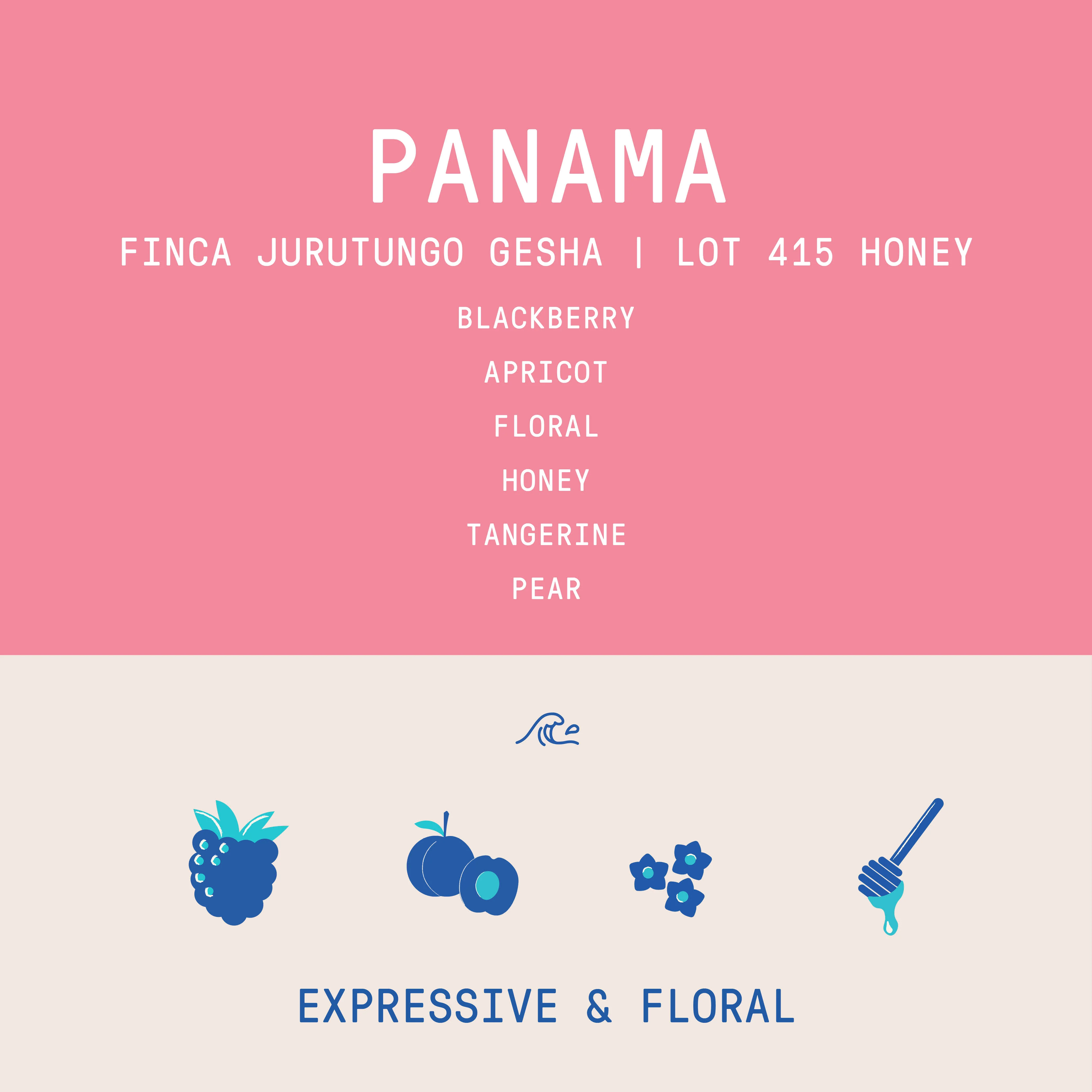 Panama - Finca Jurutungo Gesha  | Lot 415  Honey - 100g - Archived - Image 2