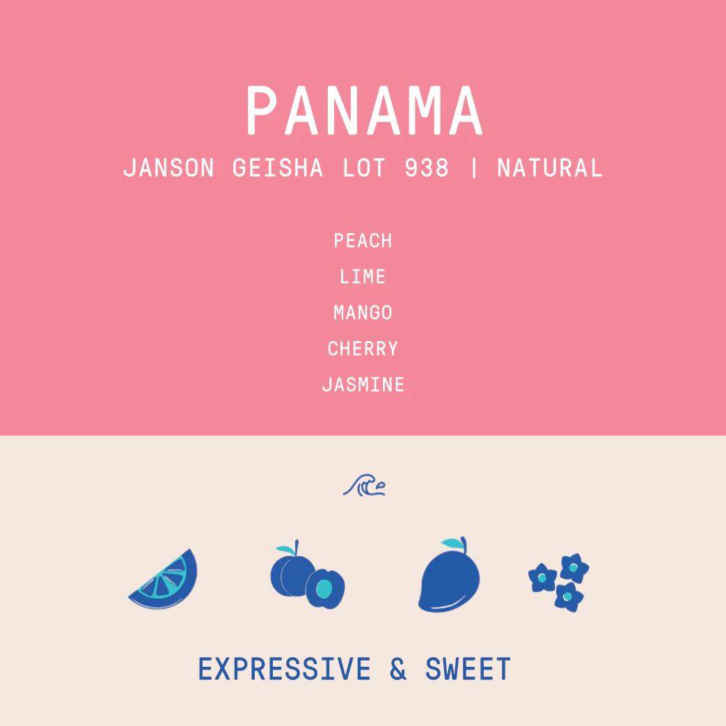 Panama - Janson Geisha Lot 938 | Natural - 100g - Archived - Image 2