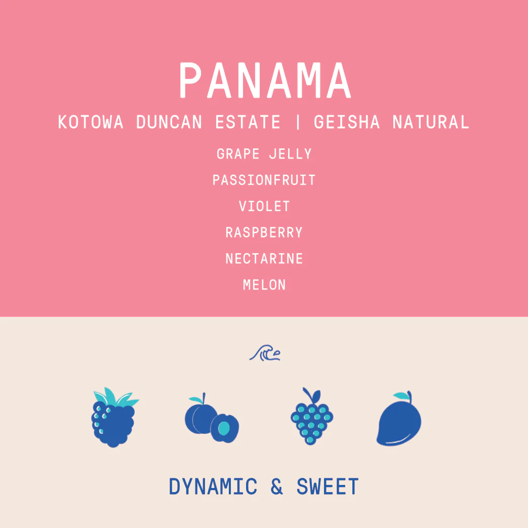Panama - Kotowa Duncan Estate | Geisha Natural - 100g - Archived - Image 2