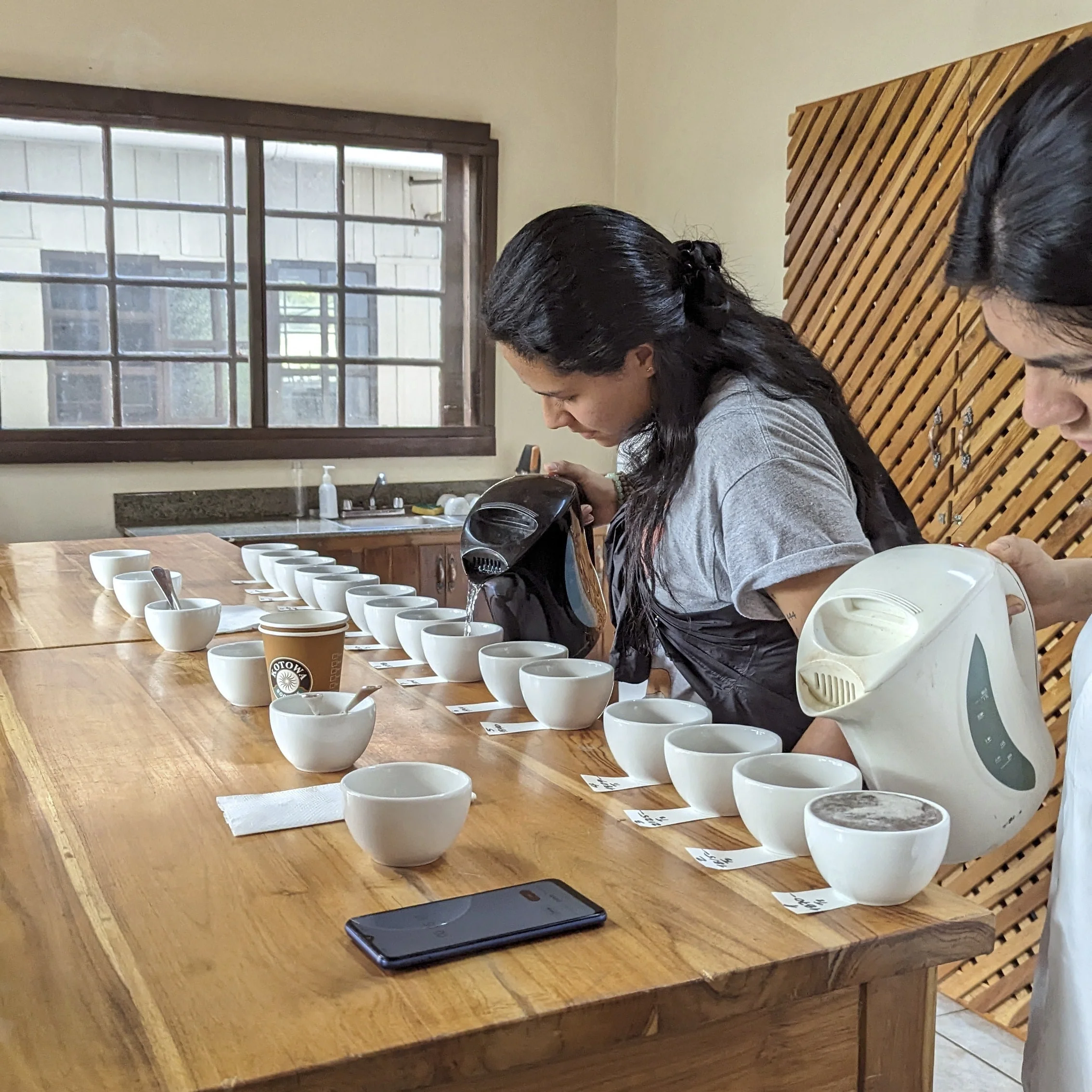 Panama - Kotowa Duncan Estate | Geisha Natural - 100g - Archived - Image 4