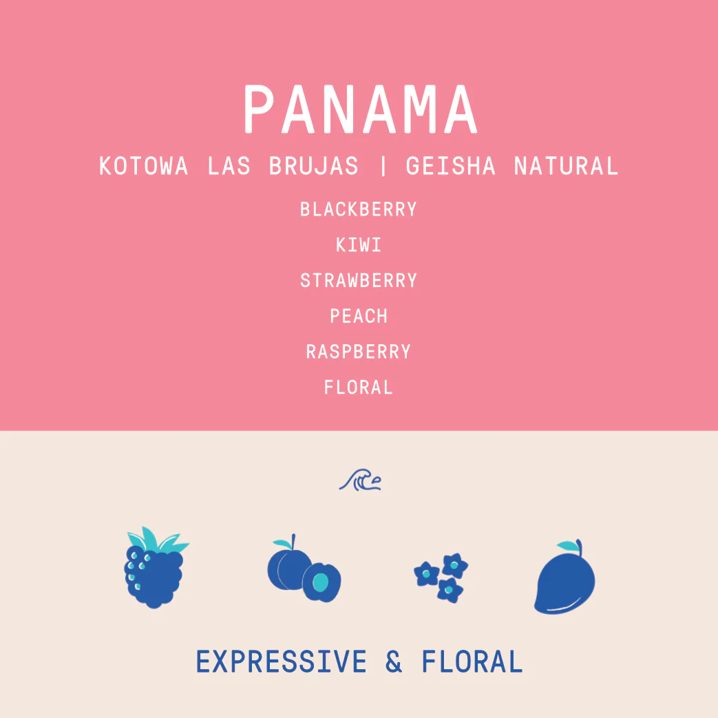 Panama - Kotowa Las Brujas Lot 2002-T3 | Geisha Natural - 100g - Archived - Image 2