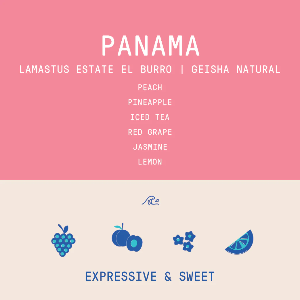Panama - Lamastus El Burro Estate | Geisha Natural - 100g - Archived - Image 2
