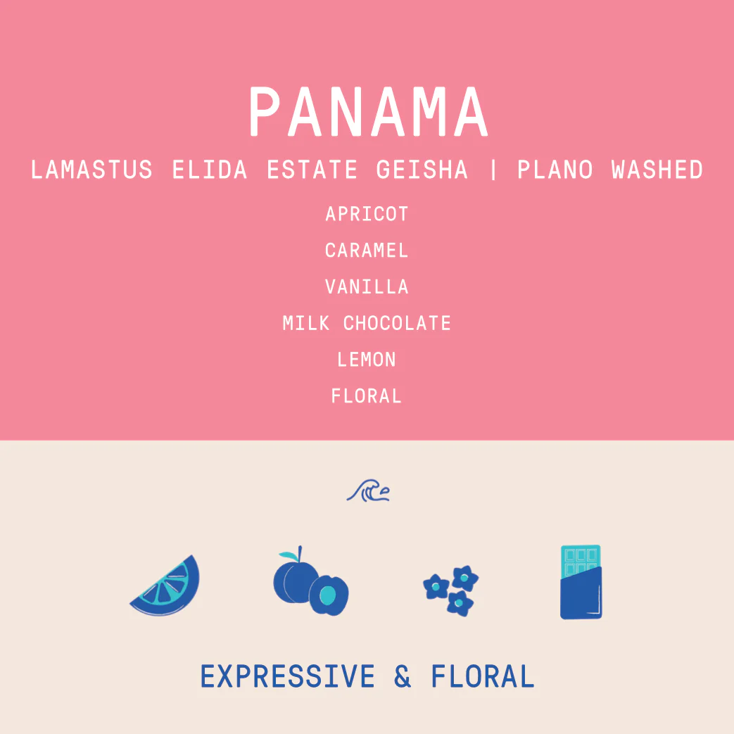 Panama - Lamastus Elida Estate Plano | Geisha Washed - 100g - Archived - Image 2