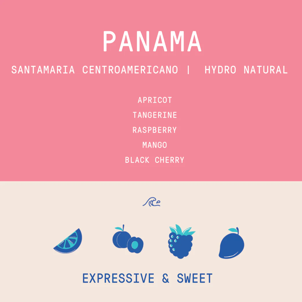 Panama - Santamaria Estate Centroamericano | Hydro Natural - 100g - Archived - Image 2