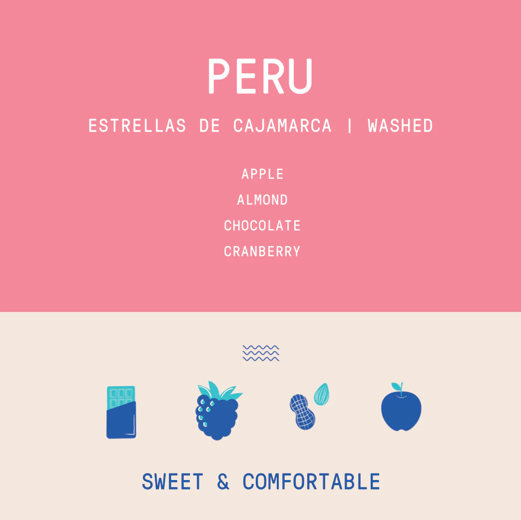 Peru - Estrellas de Cajamarca | Washed - Archived - Image 2