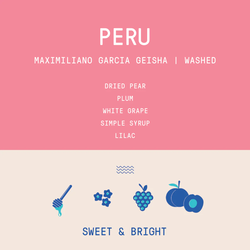 Peru - Garmas Maximiliano Garcia | Geisha Washed - Archived - Image 2