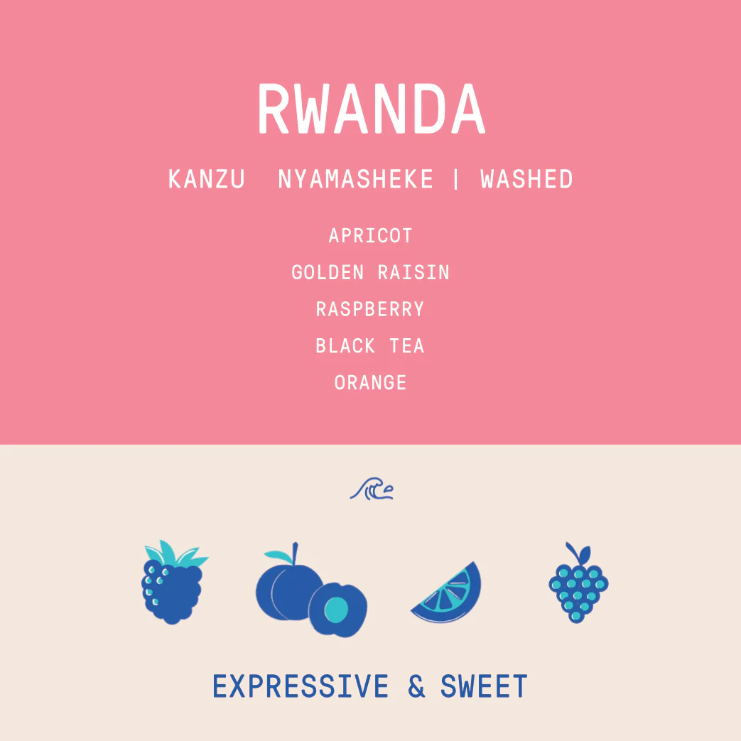 Rwanda - Kanzu Lot 46 | Washed - Archived - Image 2