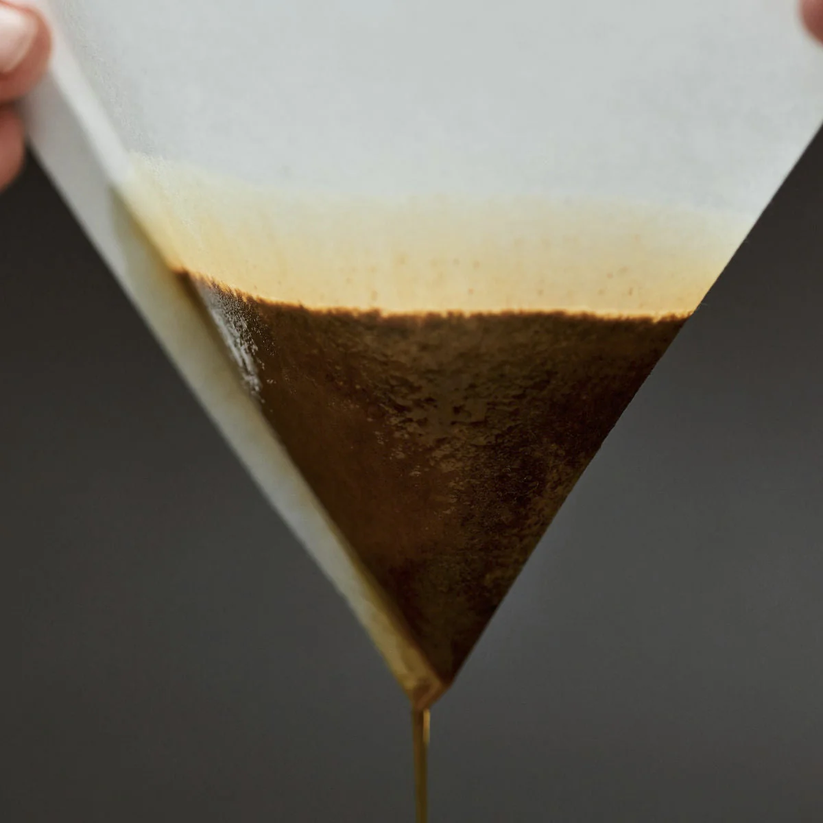SIBARIST - B3 CONE | Paper Filter - Image 4