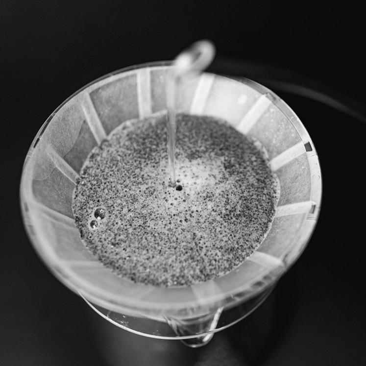 SIBARIST - UFO | Specialty Coffee Paper Filters - Image 3