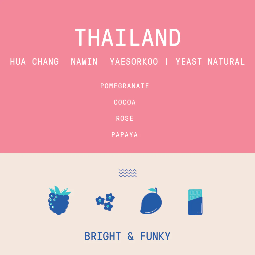 Thailand - Hua Chang - Nawin Yaesorkoo | Yeast Natural - 250g - Archived - Image 2