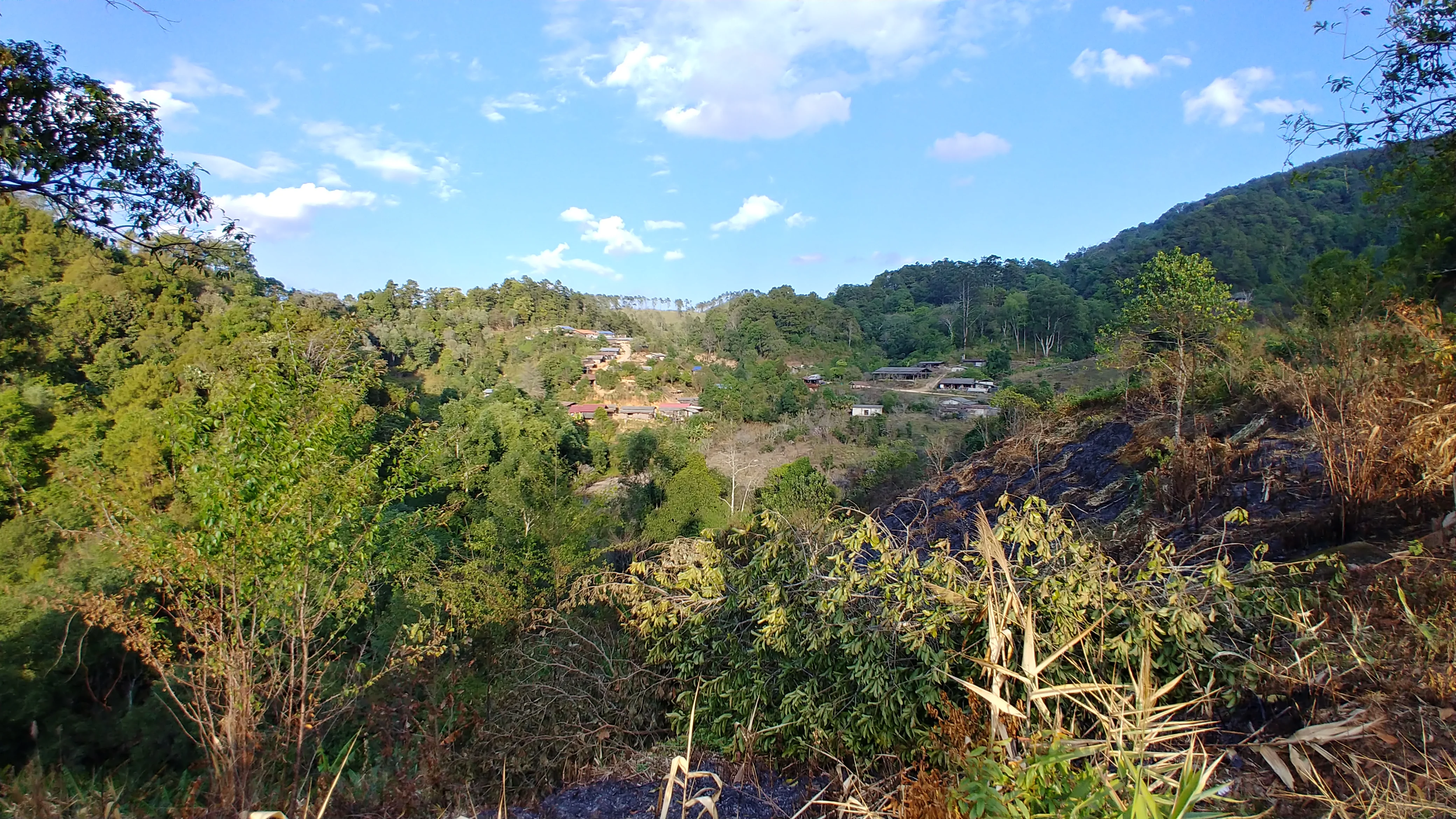 Thailand - Karen Farm | Natural - Archived - Image 7