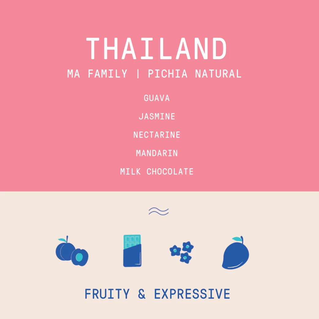 Thailand - Ma Family | Pichia Anaerobic Natural - 23 bag Nano Lot - 100g - Archived - Image 2