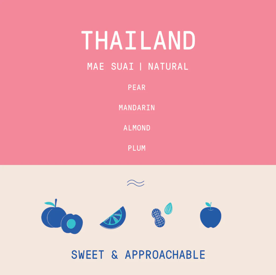 Thailand - Mae Suai | Natural - 250g - Archived - Image 2