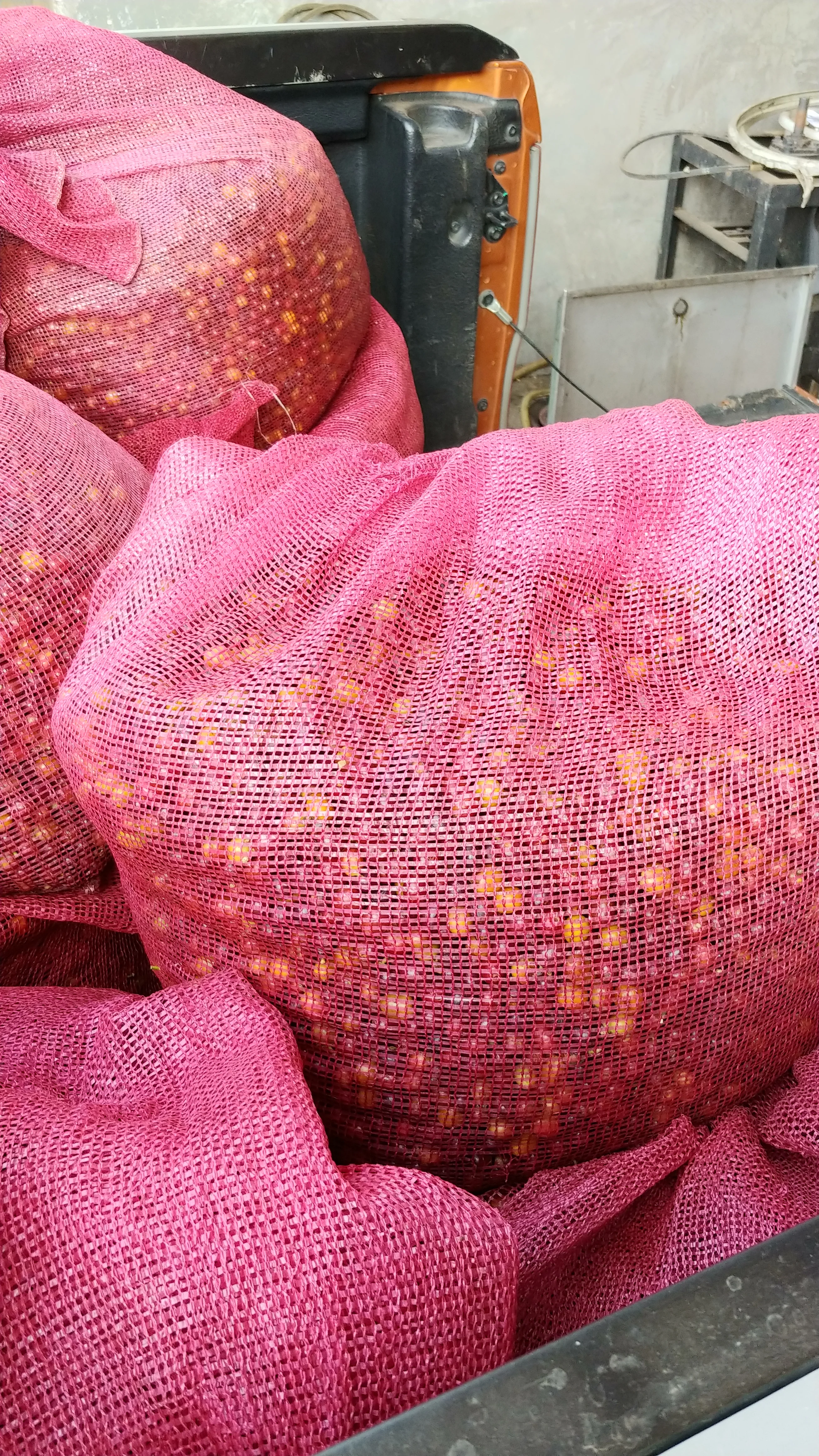 Thailand - Hua Chang - Nawin Yaesorkoo | Yeast Natural - 250g - Archived - Image 5